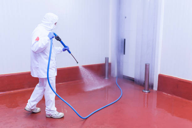 Reliable Clara City, MN Pressure Washing Solutions