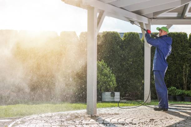 Best Spring Cleaning  in Clara City, MN