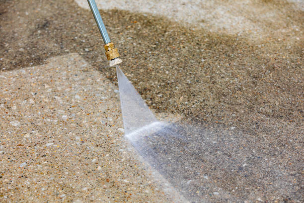 Best Dumpster Area Cleaning  in Clara City, MN