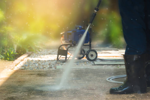 Best Gutter Cleaning  in Clara City, MN
